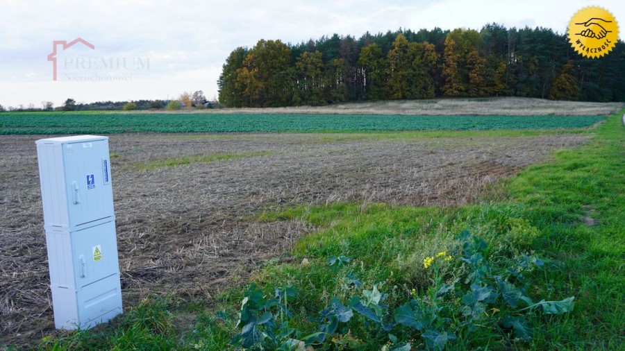 pyrzycki, Kozielice, Czarnowo, Działka budowlana