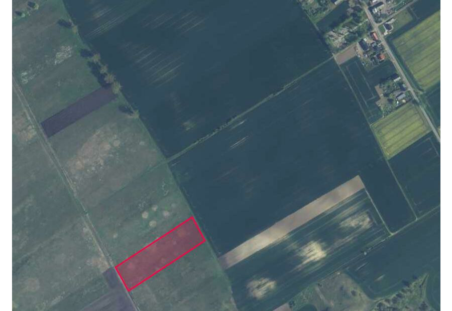 pyrzycki, Warnice, Stary Przylep, Na sprzedaż działka 1,65 ha Stary Przylep, gmina Warnice, powiat pyrzycki